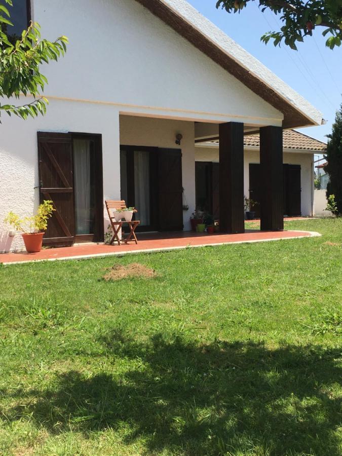 Happy Ria House Hotel Chousa Velha Bagian luar foto
